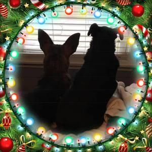 Meet your Posher, Stacie